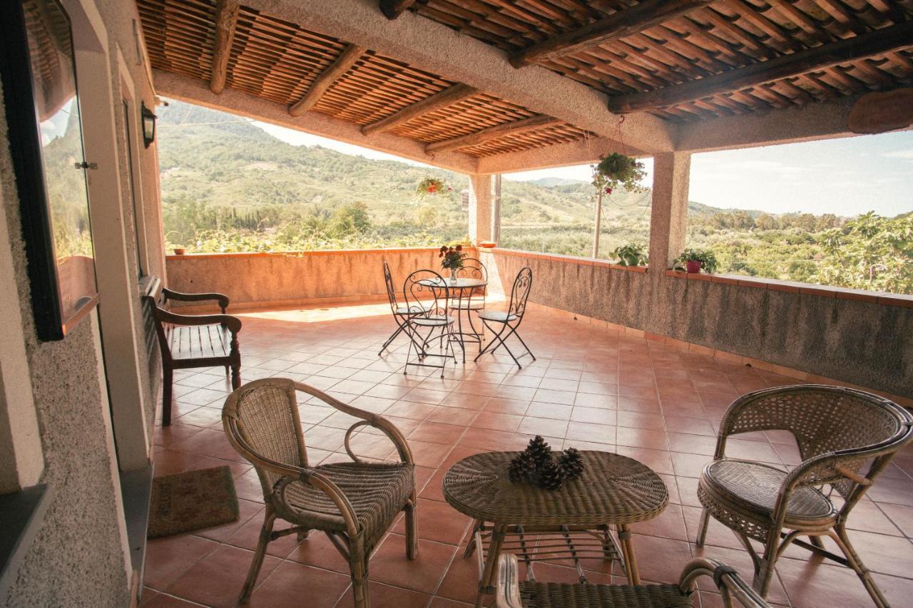 I Cedri Agriturismo Biologico Orsomarso Eksteriør billede