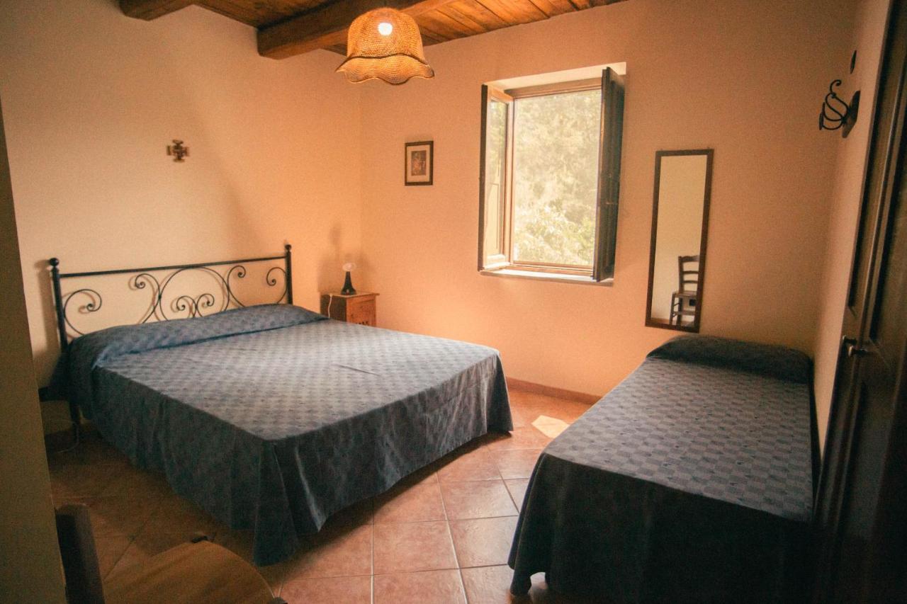 I Cedri Agriturismo Biologico Orsomarso Eksteriør billede
